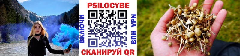 Галлюциногенные грибы MAGIC MUSHROOMS  Купить закладки  Златоуст 